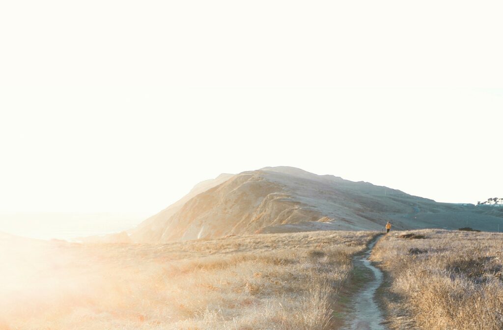 psychologische-beratung-humanprotect