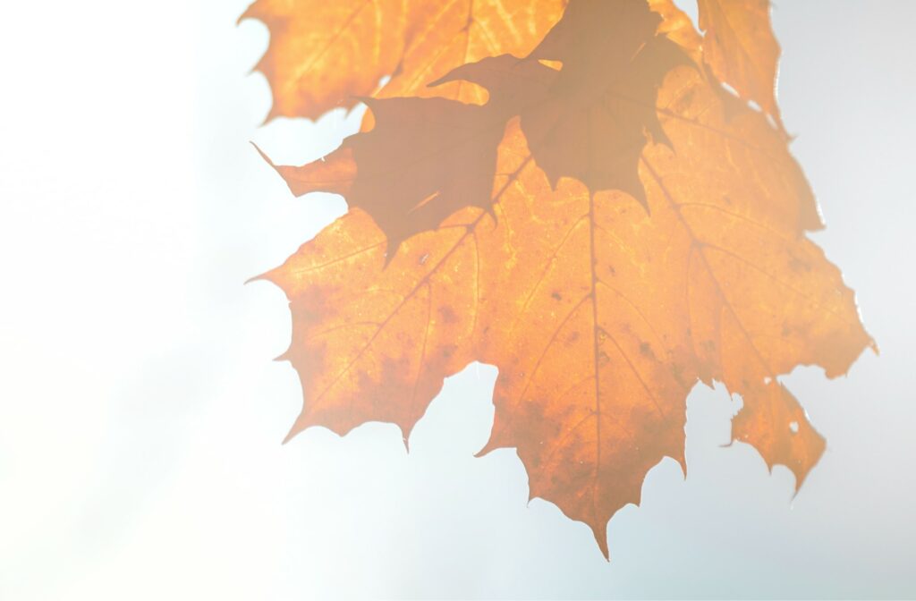 psychotherapie-humanprotect